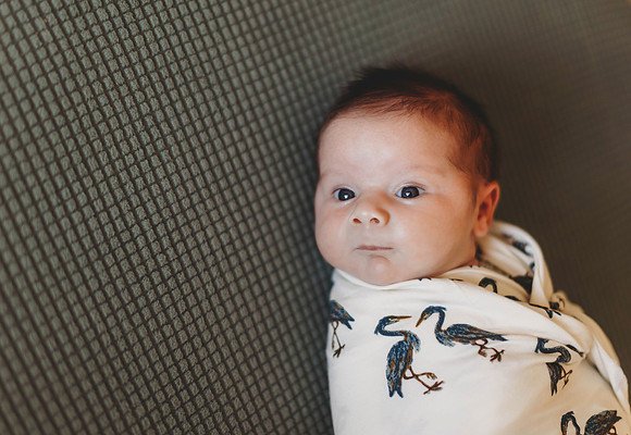 Dalton {newborn}