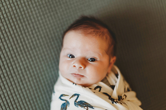 Dalton {newborn}