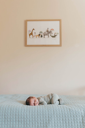 Dalton {newborn}